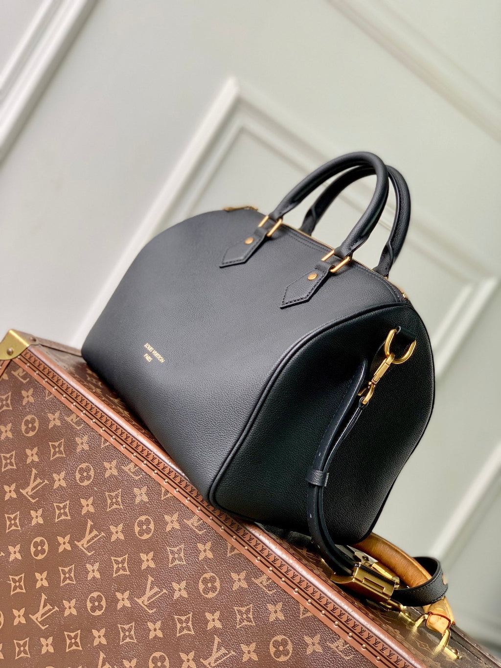 Louis Vuitton Speedy Soft 30 M24891