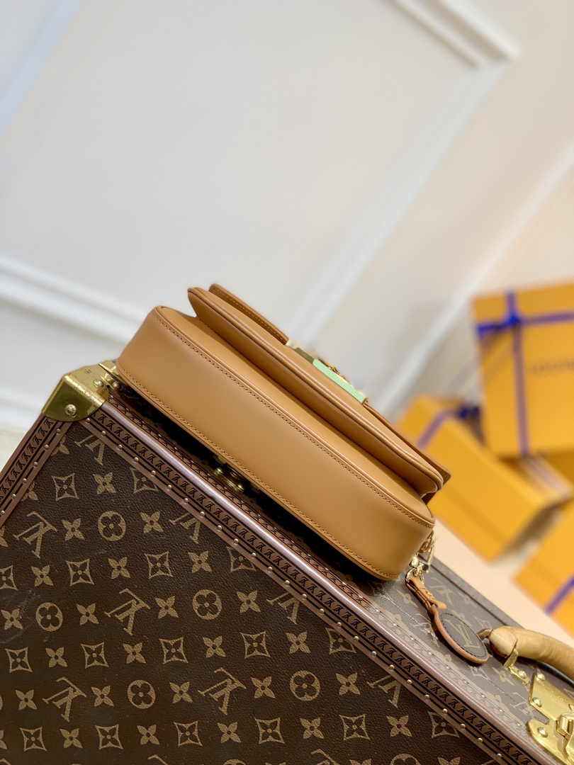 Louis Vuitton Swing Shoulder Bag M20396 Brown Leather - Default Title - View 4