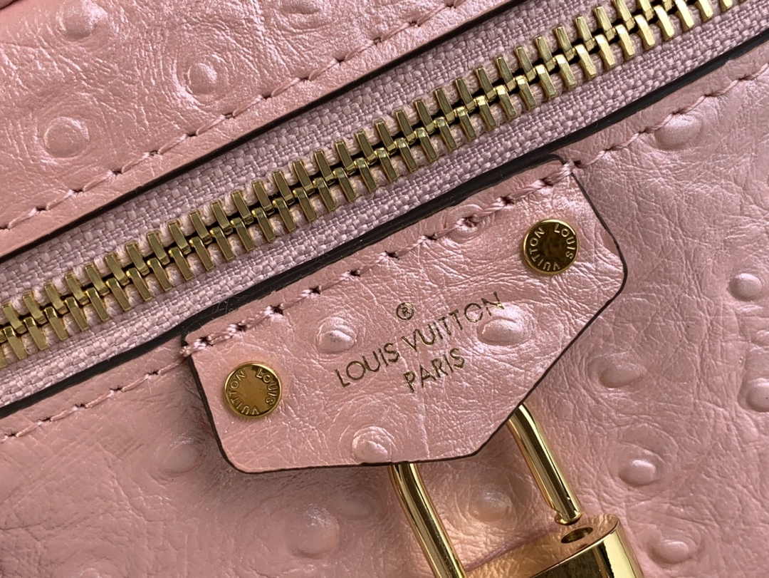 Louis Vuitton Vanity Chain Pouch N85820 Pink Ostrich leather - Default Title - View 5