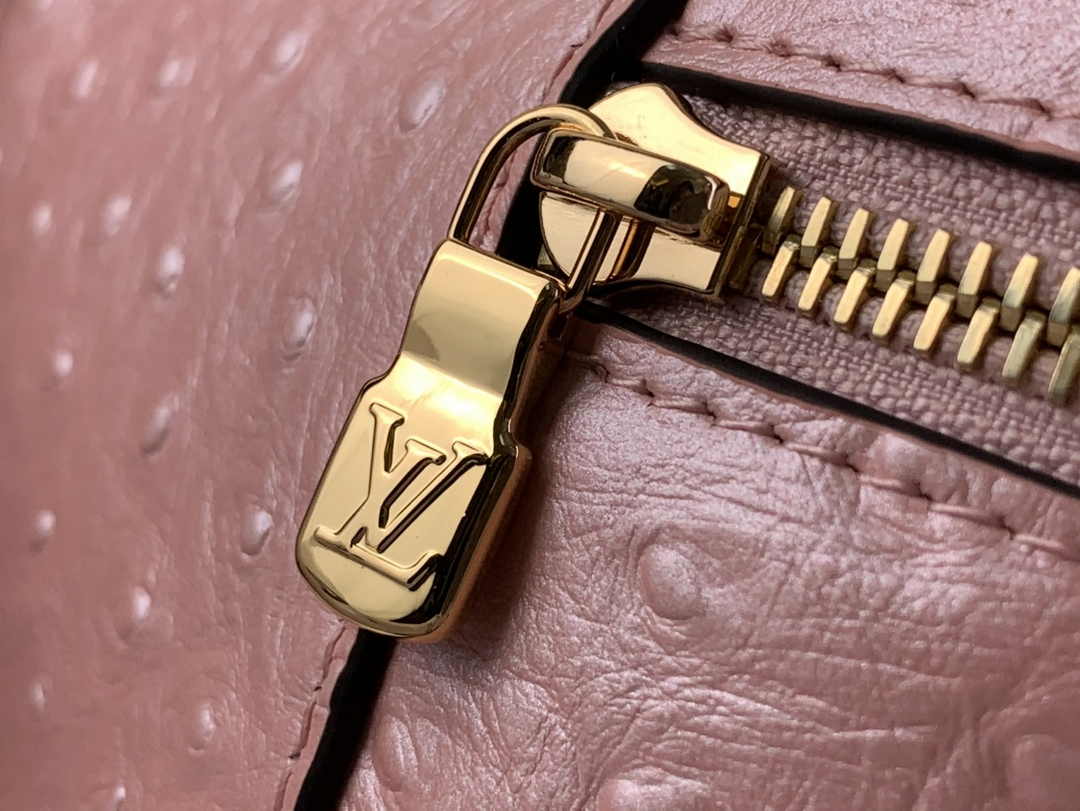 Louis Vuitton Vanity Chain Pouch N85820 Pink Ostrich leather - Default Title - View 6