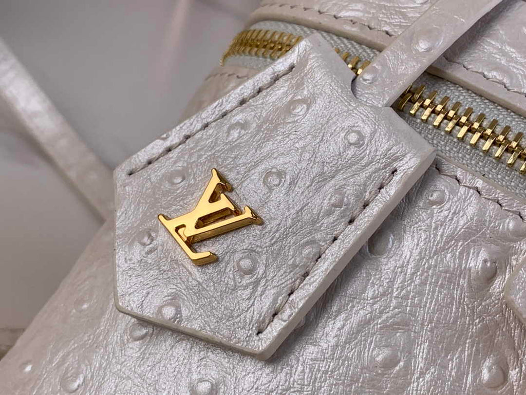 Louis Vuitton Vanity Chain Pouch N85911 Beige Ostrich leather - Default Title - View 5