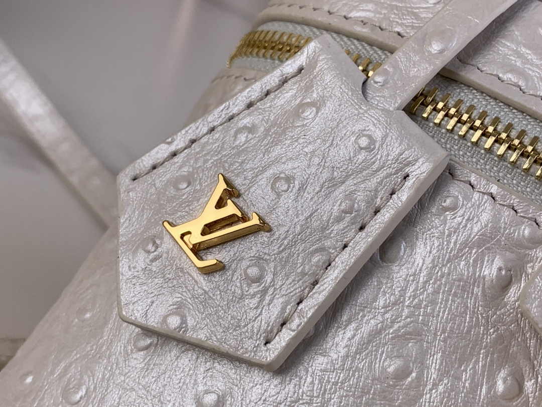 Louis Vuitton Vanity Chain Pouch N85911 Beige Ostrich leather - Default Title - View 5