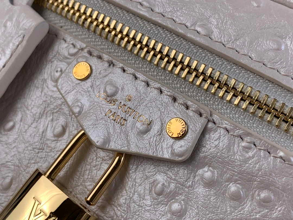 Louis Vuitton Vanity Chain Pouch N85911 Beige Ostrich leather - Default Title - View 6