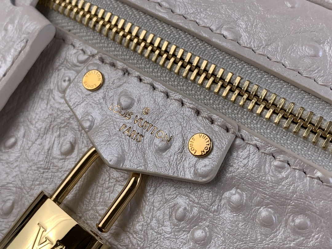 Louis Vuitton Vanity Chain Pouch N85911 Beige Ostrich leather - Default Title - View 6