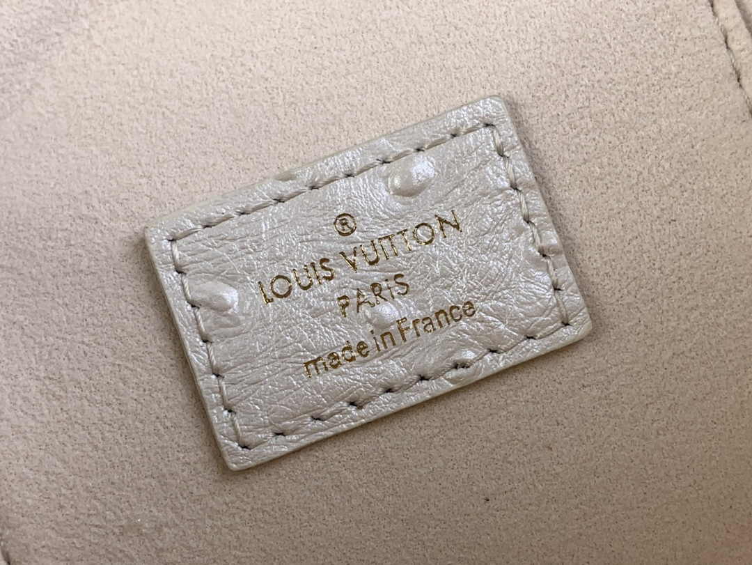 Louis Vuitton Vanity Chain Pouch N85911 Beige Ostrich leather - Default Title - View 9