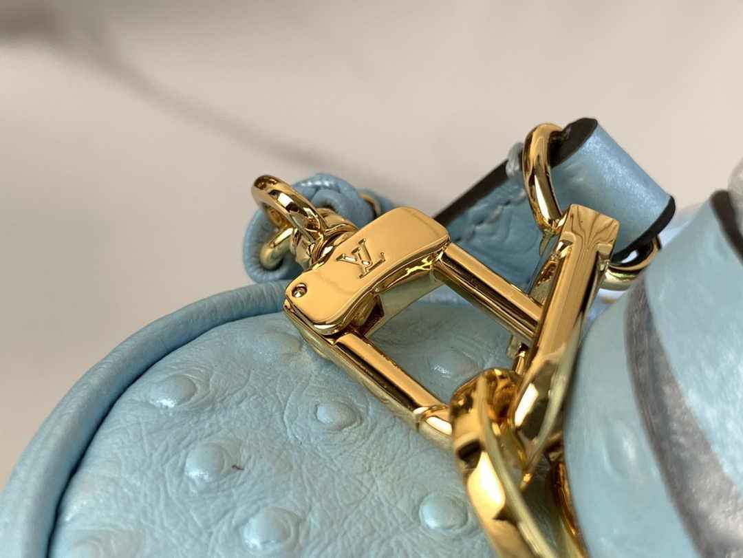 Louis Vuitton Vanity Chain Pouch N85806 Blue Ostrich leather - Default Title - View 5