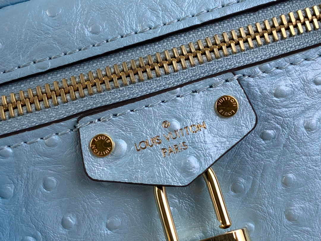 Louis Vuitton Vanity Chain Pouch N85806 Blue Ostrich leather - Default Title - View 6