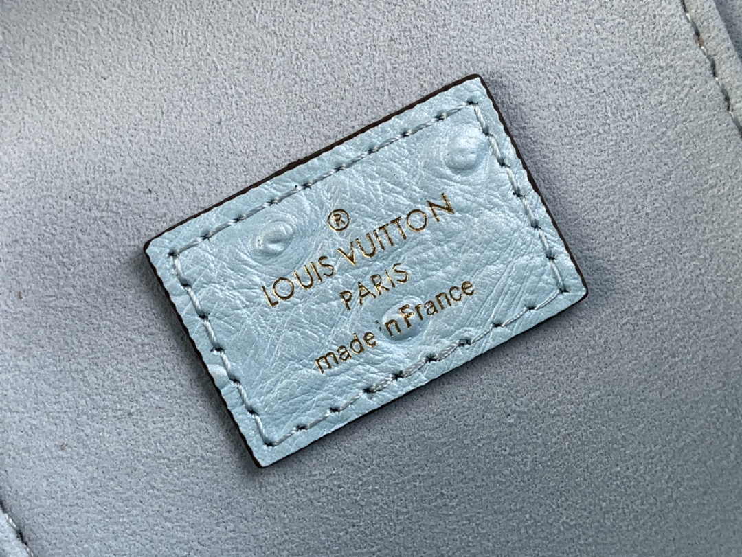 Louis Vuitton Vanity Chain Pouch N85806 Blue Ostrich leather - Default Title - View 9
