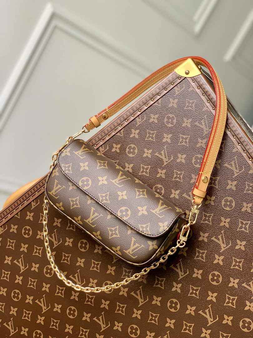 Louis Vuitton Wallet On Chain Lvy M81911 Monogram Canvas - Default Title - View 2