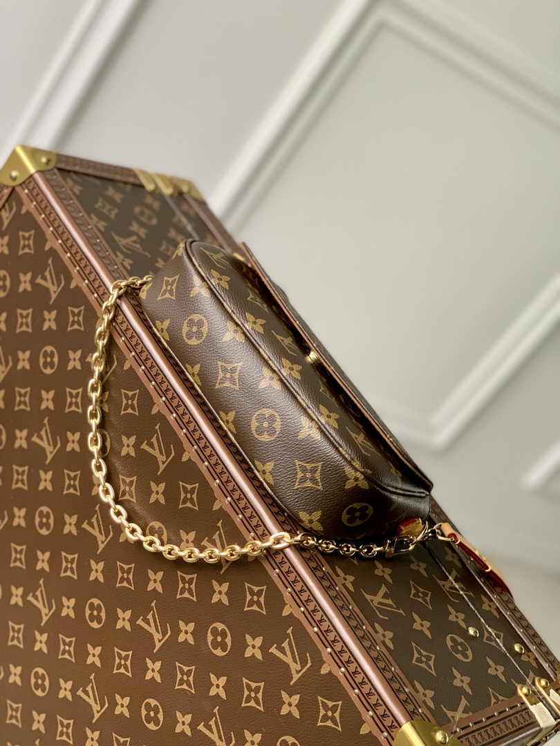 Louis Vuitton Wallet On Chain Lvy M81911 Monogram Canvas - Default Title - View 4