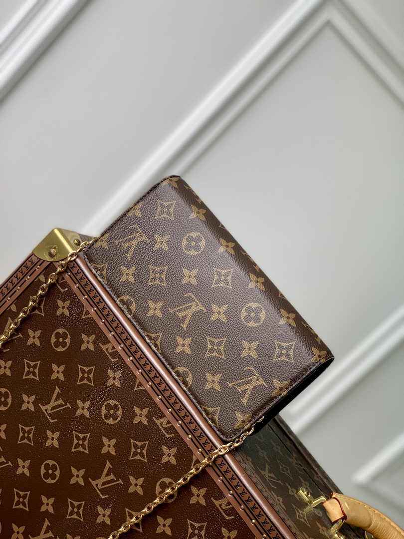 Louis Vuitton Wallet On Chain Lvy M82509 Monogram Canvas - Default Title - View 2