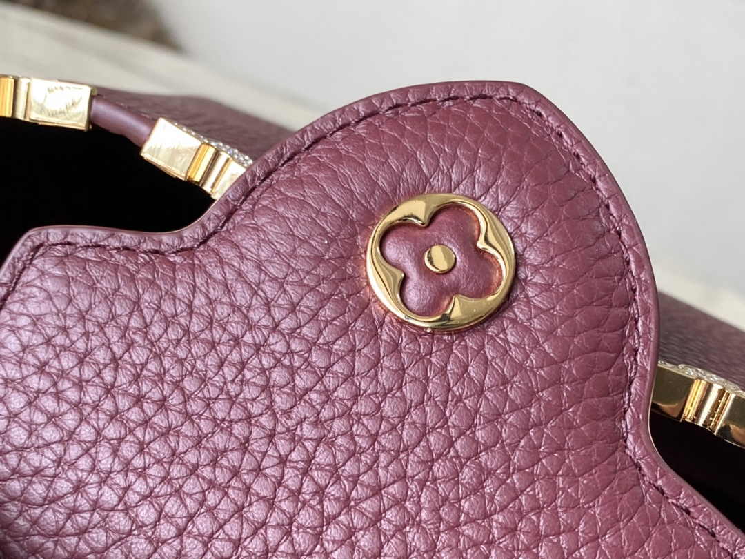 Louis Vuitton Capucines Mini M56669 Wine Red Taurillon leather