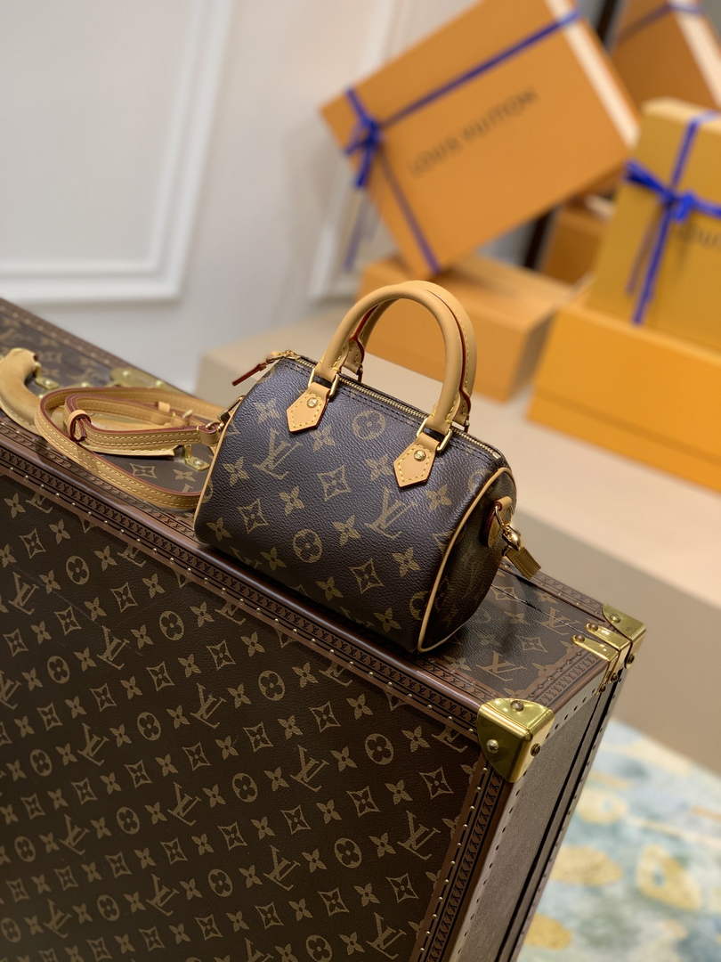 LV M81085 Louis Vuitton Nano Speedy Bag Monogram canvas