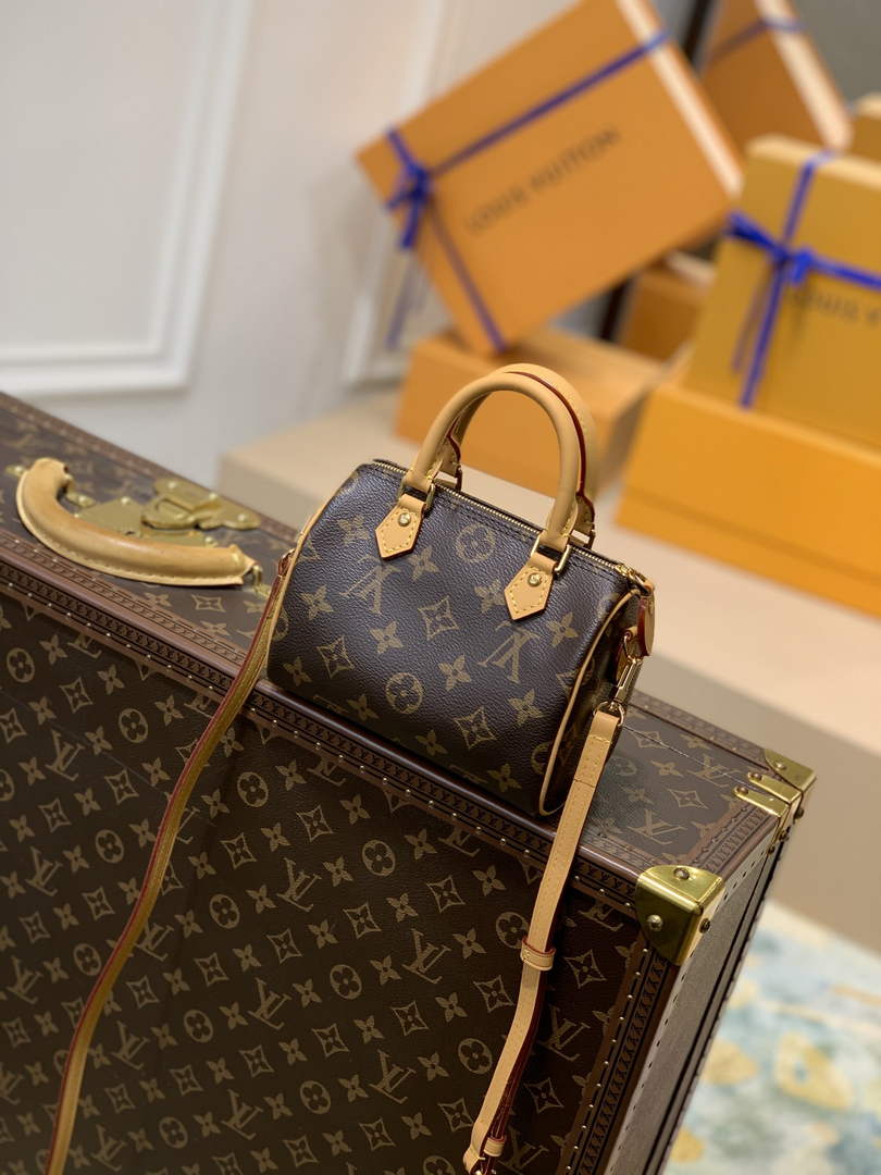LV M81085 Louis Vuitton Nano Speedy Bag Monogram canvas
