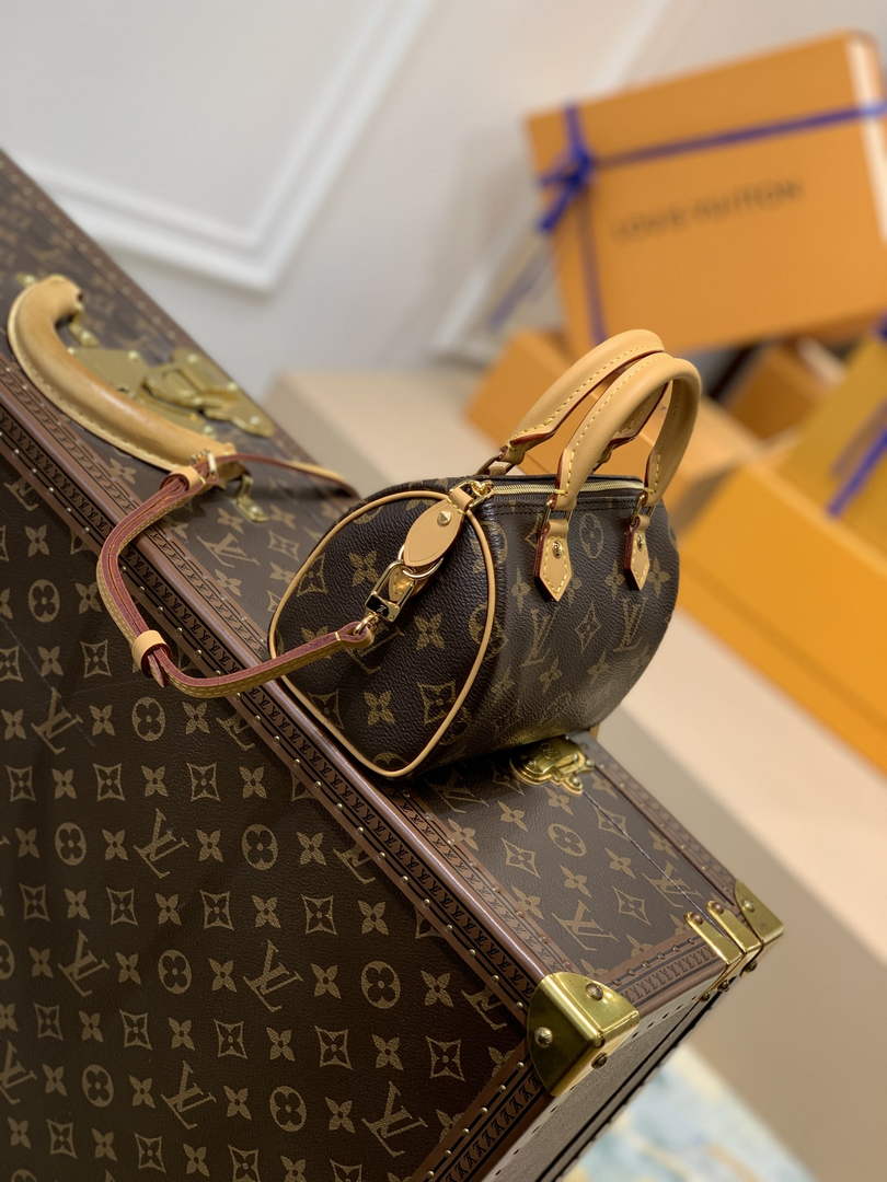 LV M81085 Louis Vuitton Nano Speedy Bag Monogram canvas