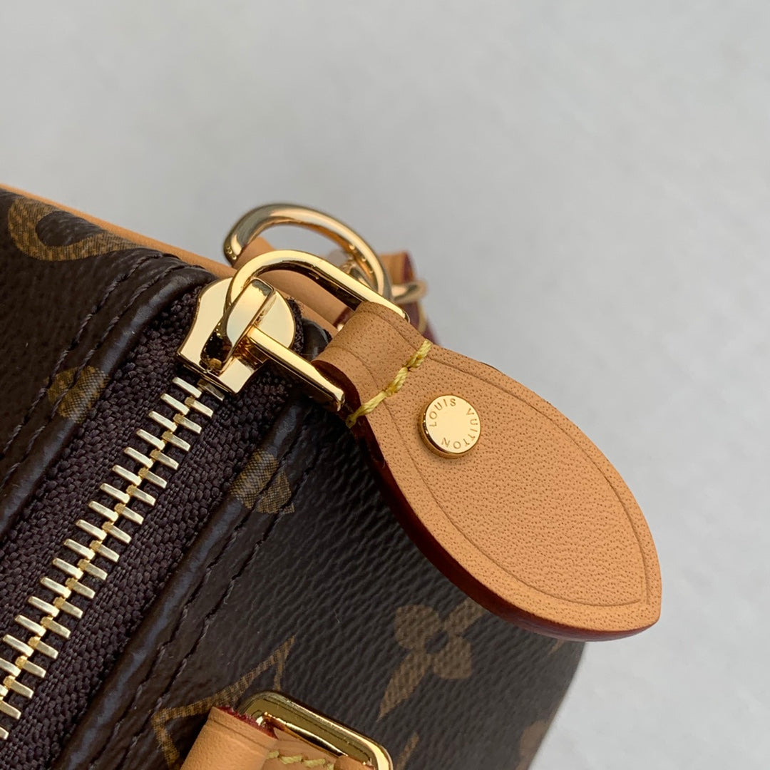 LV M81085 Louis Vuitton Nano Speedy Bag Monogram canvas
