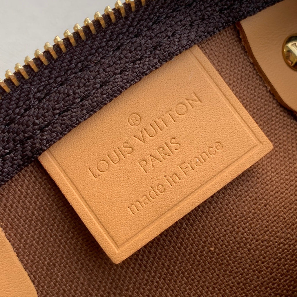 LV M81085 Louis Vuitton Nano Speedy Bag Monogram canvas