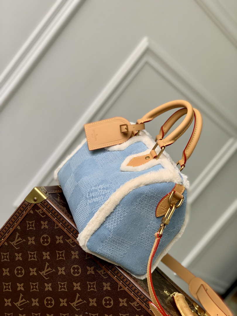 LV x TM Speedy Bandoulière 25 N00111
