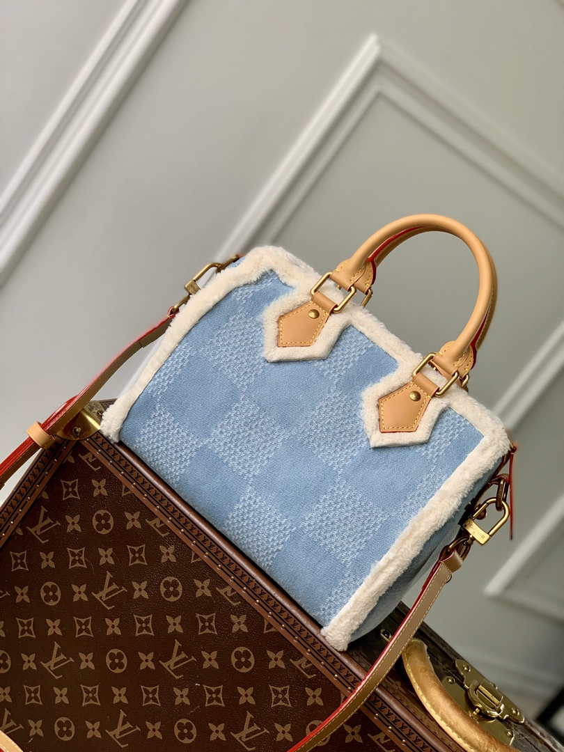 LV x TM Speedy Bandoulière 25 N00111