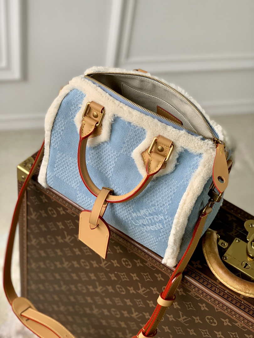 LV x TM Speedy Bandoulière 25 N00111