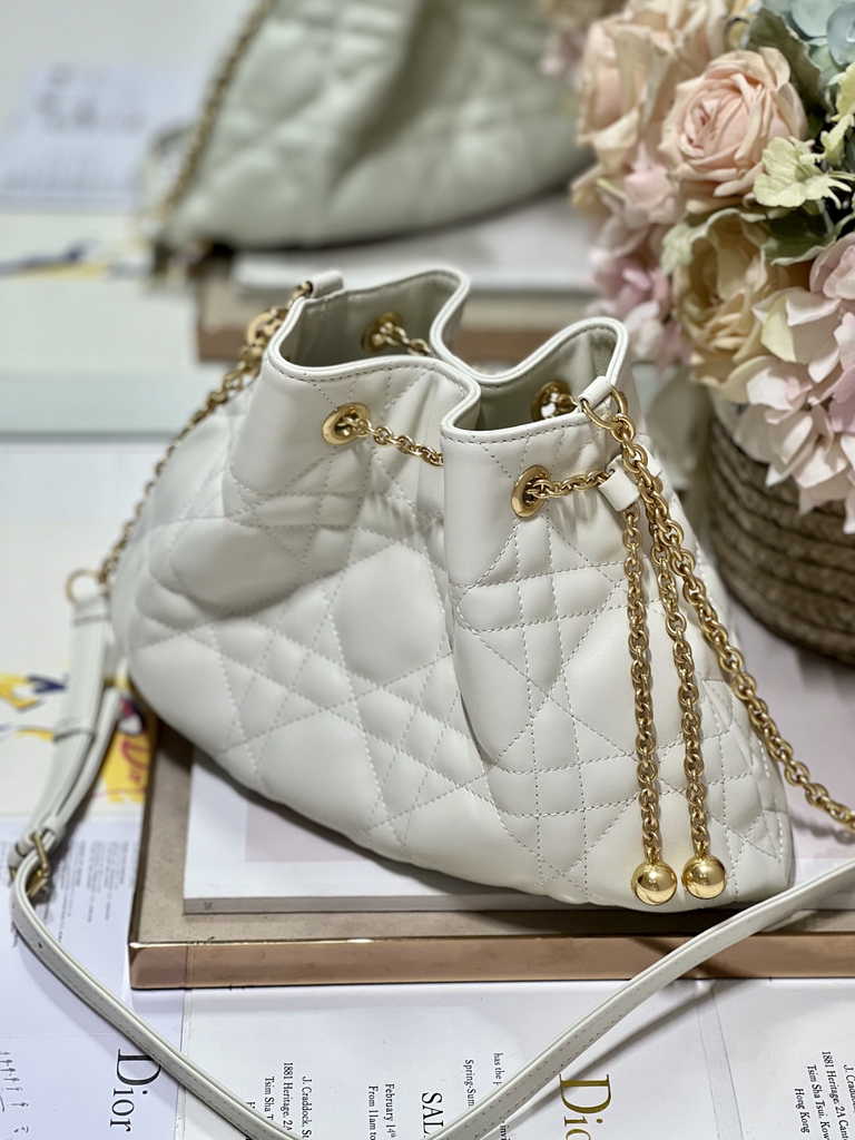 Medium Dior Ammi Bag M22566 Beige Supple Macrocannage Lambskin