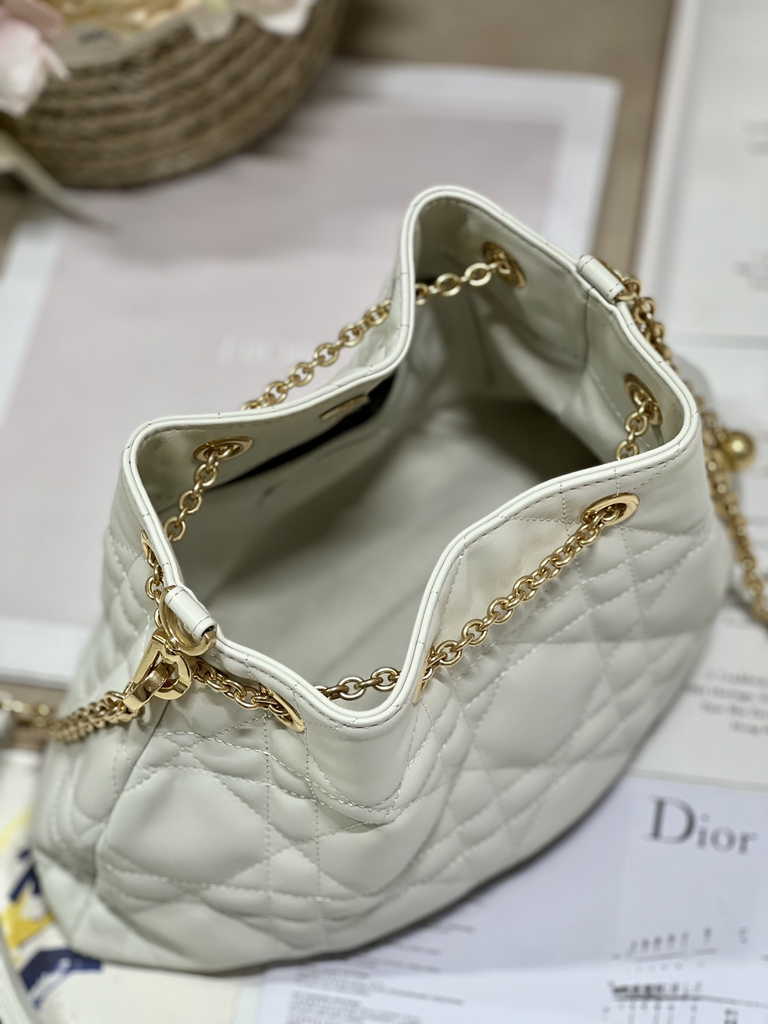 Medium Dior Ammi Bag M22566 Beige Supple Macrocannage Lambskin