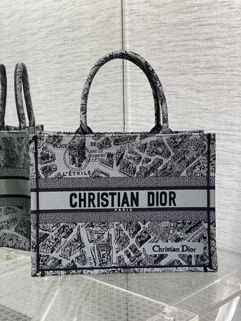 Medium Dior Book Tote M1296 Gray Plan de Paris Embroidery