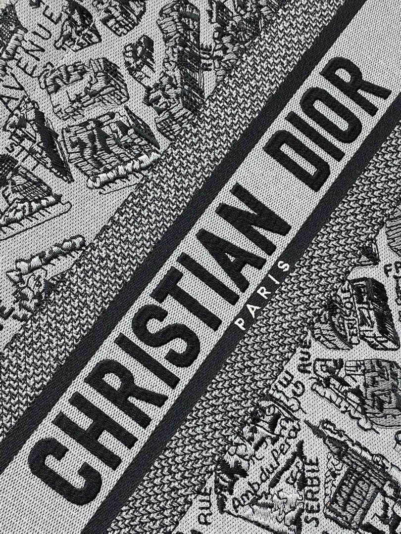 Medium Dior Book Tote M1296 Gray Plan de Paris Embroidery