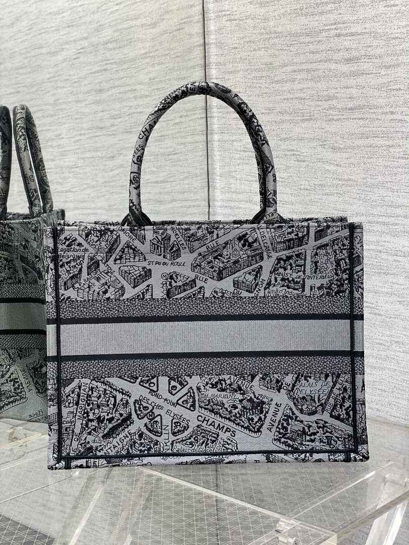 Medium Dior Book Tote M1296 Gray Plan de Paris Embroidery