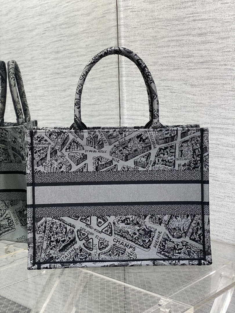 Medium Dior Book Tote M1296 Gray Plan de Paris Embroidery - Default Title - View 2
