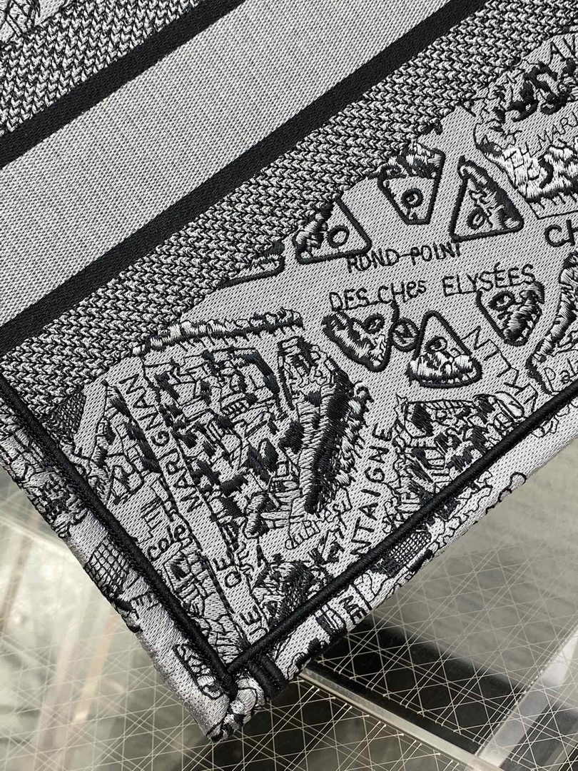Medium Dior Book Tote M1296 Gray Plan de Paris Embroidery