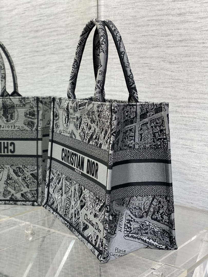 Medium Dior Book Tote M1296 Gray Plan de Paris Embroidery