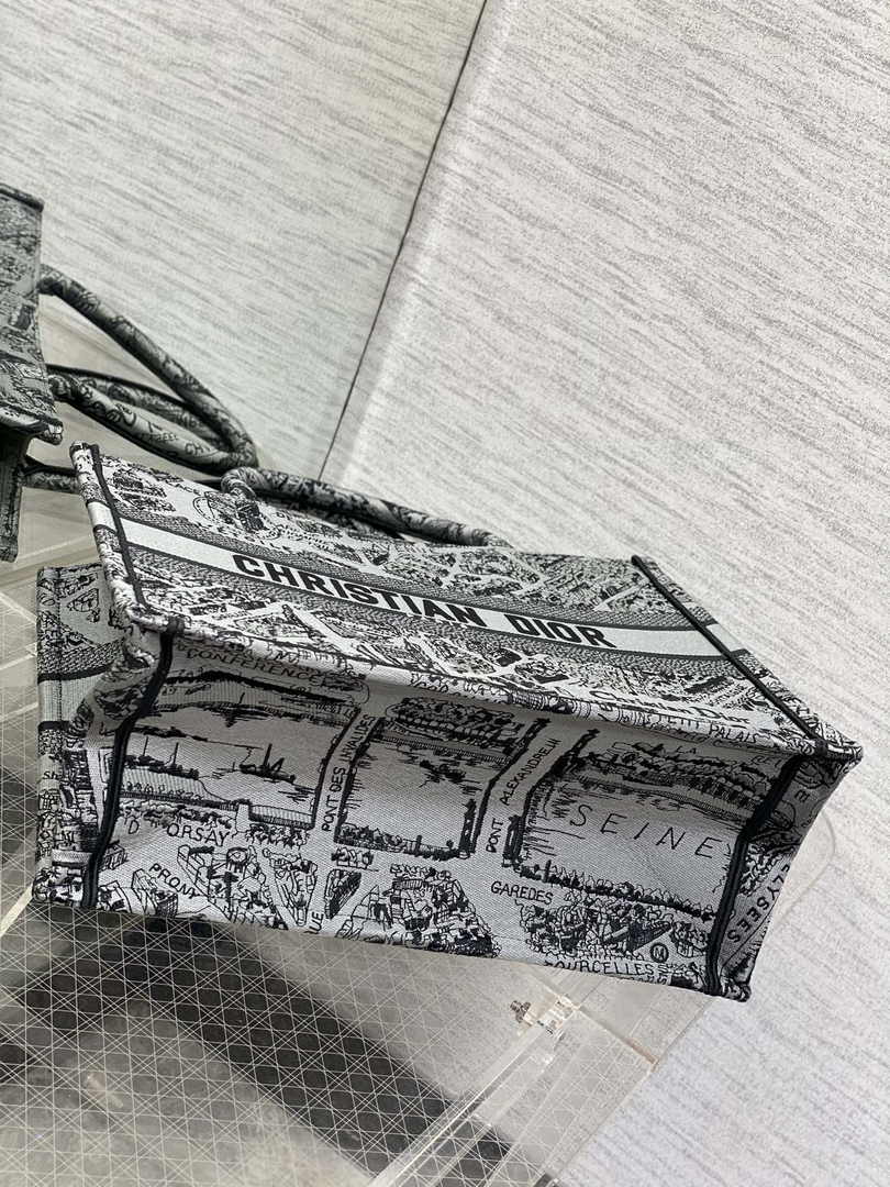 Medium Dior Book Tote M1296 Gray Plan de Paris Embroidery