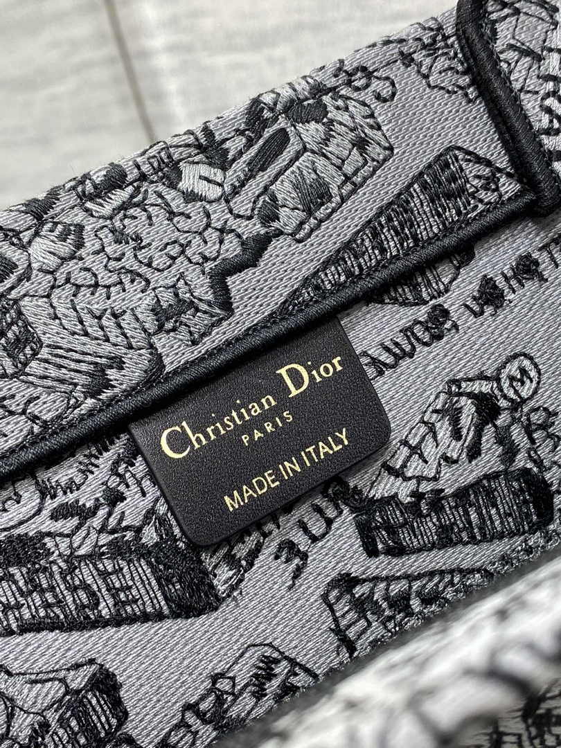Medium Dior Book Tote M1296 Gray Plan de Paris Embroidery
