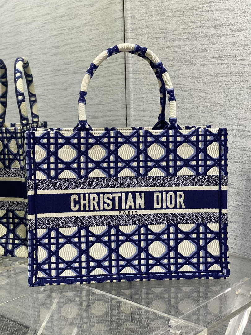 Dior Medium Book Tote M1296 Embroidery M20T9