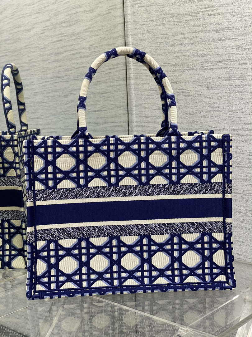 Dior Medium Book Tote M1296 Embroidery M20T9