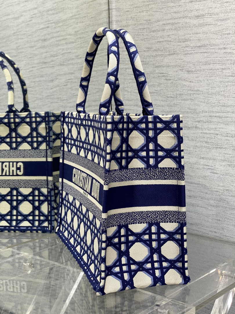 Dior Medium Book Tote M1296 Embroidery M20T9