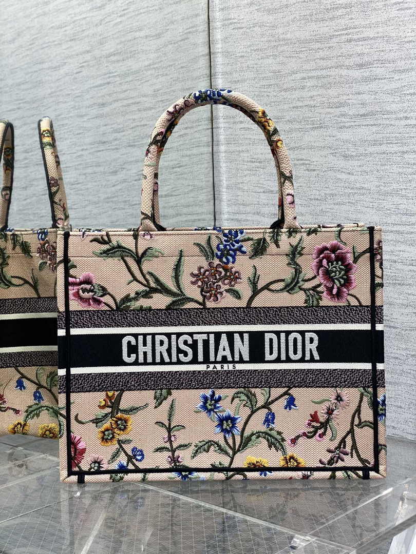 Dior Medium Book Tote M1296 Embroidery D