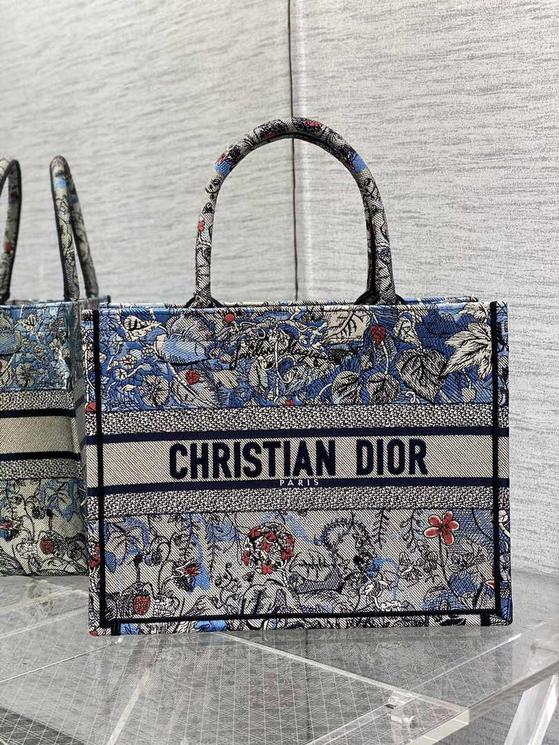 Dior Medium Book Tote M1296 Embroidery H