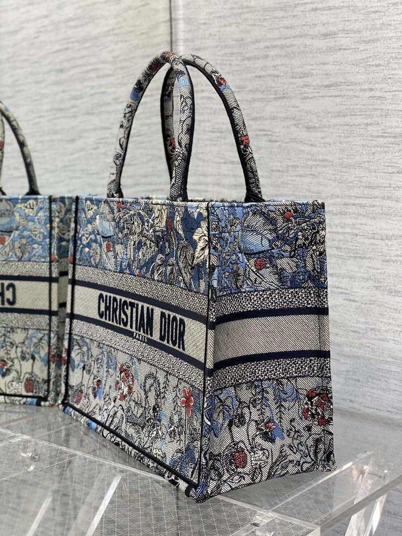Dior Medium Book Tote M1296 Embroidery H