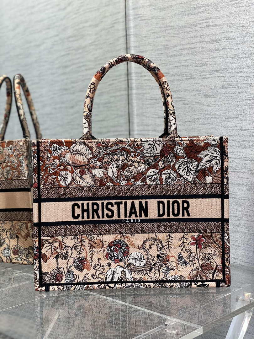 Dior Medium Book Tote M1296 Embroidery G