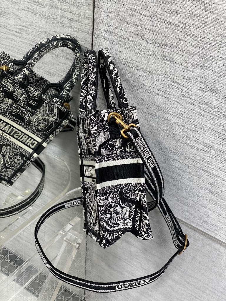 Mini Dior Book Tote Phone Bag S5555 Black Plan de Paris Embroidery