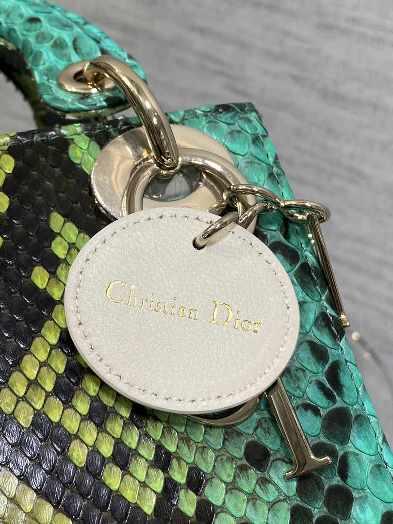 Mini Lady Dior Bag Green Yellow Snake Leather M0505 - Default Title - View 4