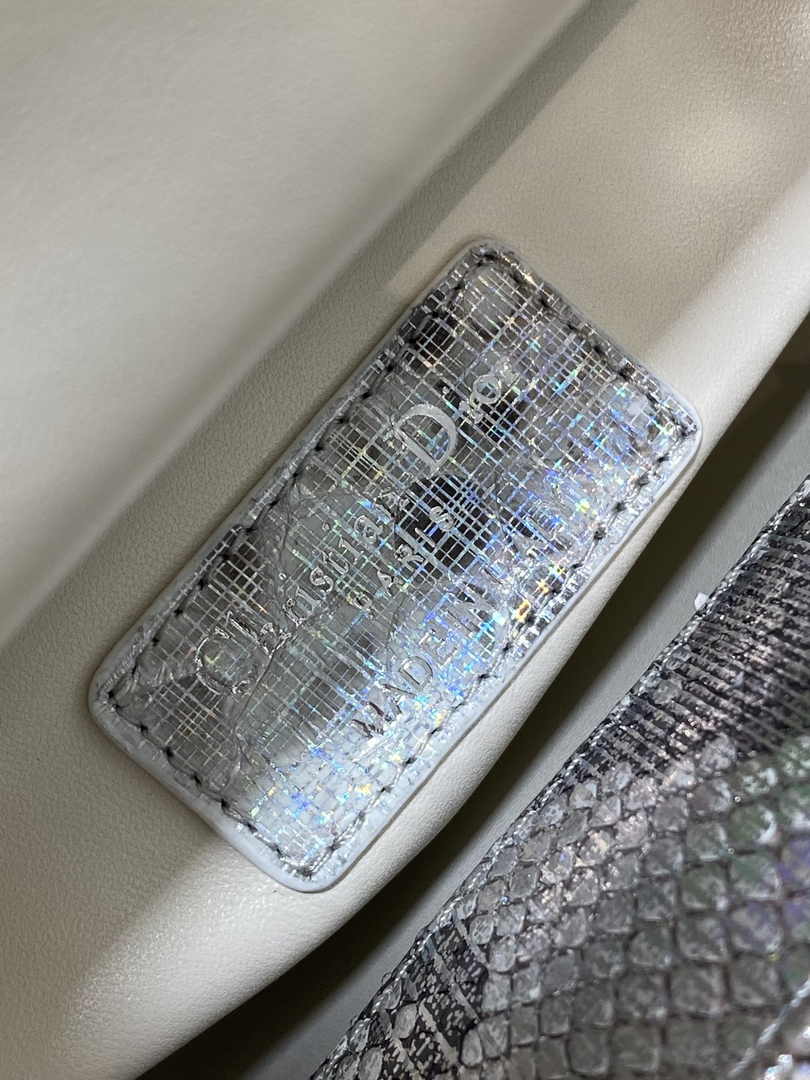 Mini Lady Dior Bag M0505 Silver Snake Leather - Default Title - View 7
