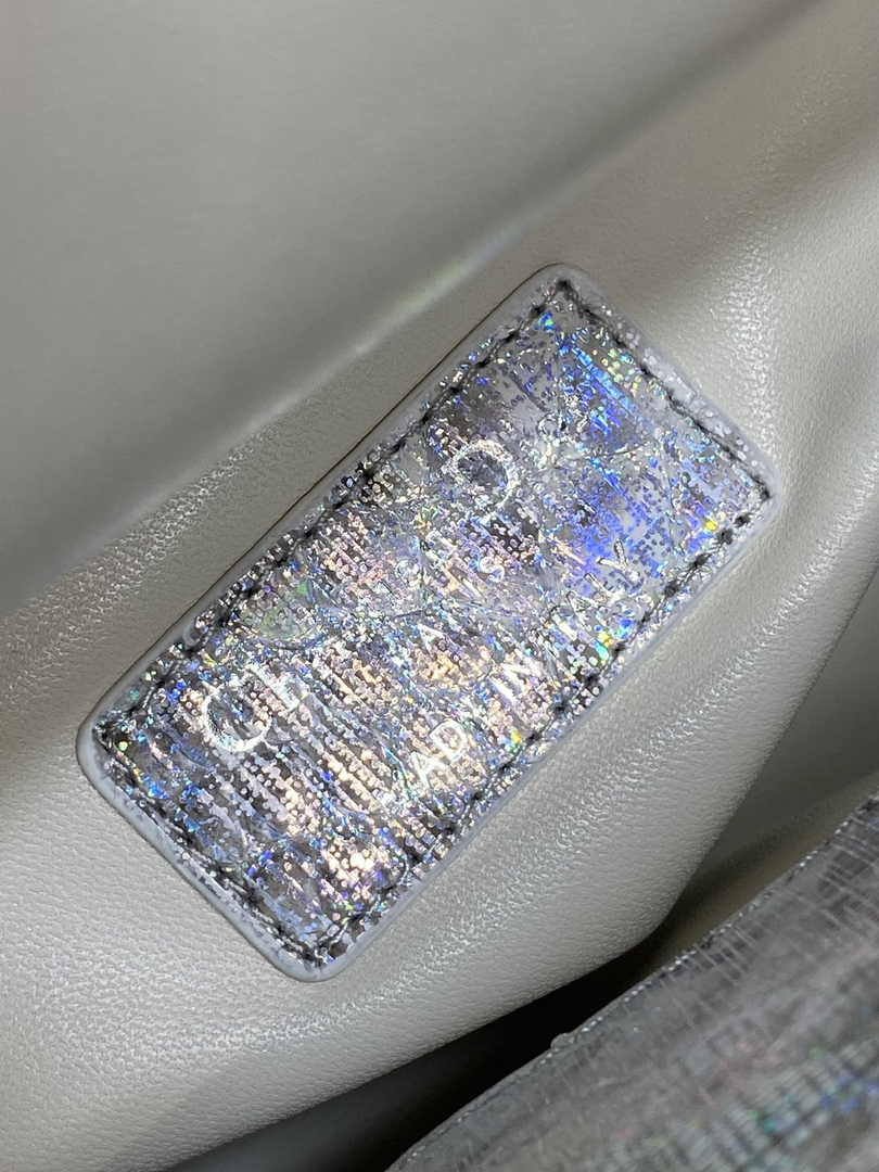 Mini Lady Dior Bag Silver Snake Leather M0505 - Default Title - View 7