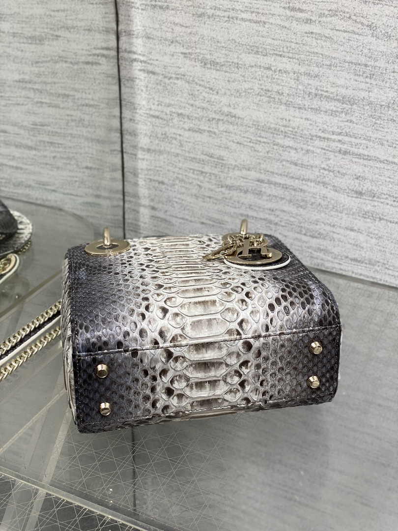Mini Lady Dior Bag M0505 Gray Snake Leather - Default Title - View 5