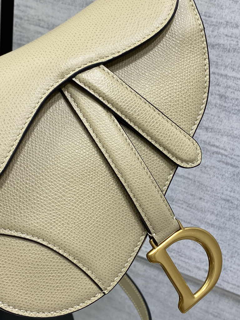 Dior Mini Saddle Bag with Strap M0456 Apricot Grained Calfskin