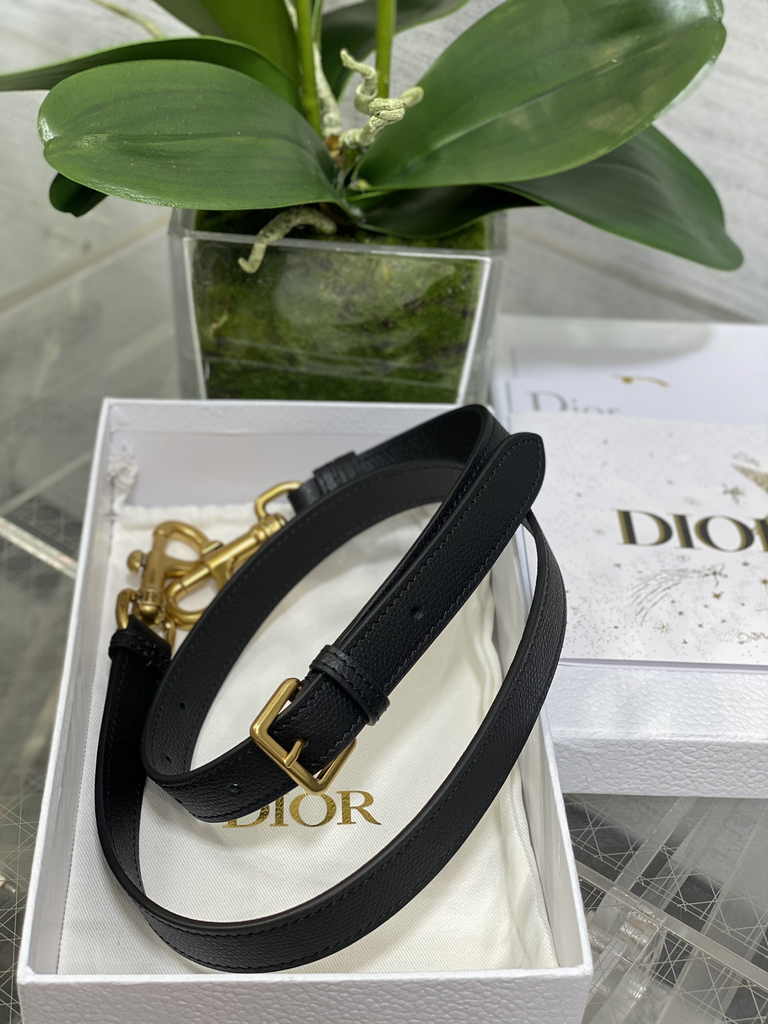 Dior Mini Saddle Bag with Strap M0456 Black Gold Grained Calfskin