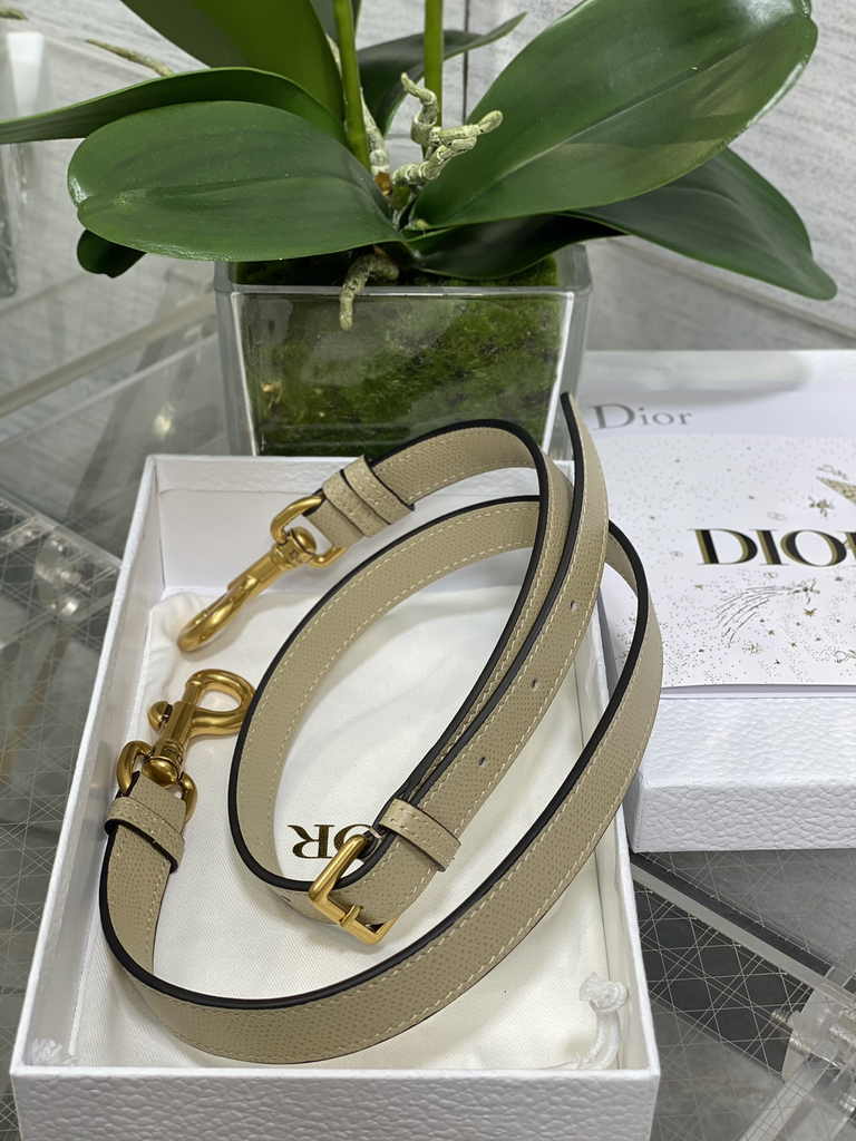 Dior Mini Saddle Bag with Strap M0456 Green Grained Calfskin