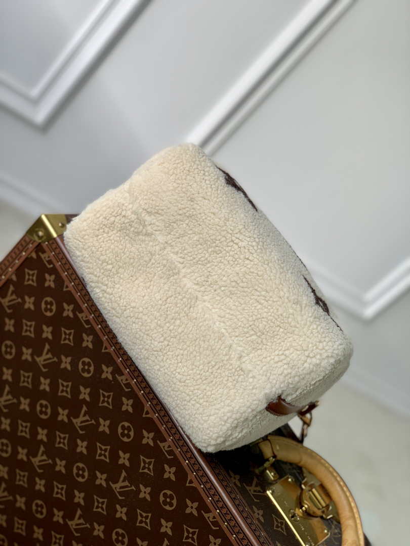 Louis Vuitton Speedy Bandoulière 25 M23468